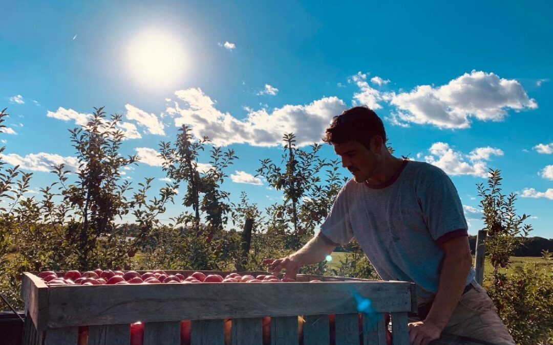 Local Story: Hidden Gem Orchard