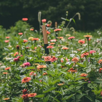 Pomperaug River Watershet Coalition