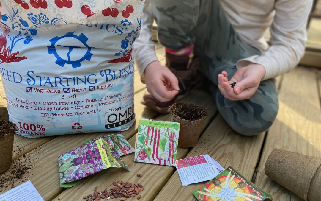 Local Story: Hudson Valley Seed Co.