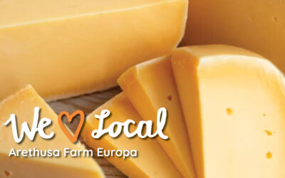 Arethusa Farm Europa: America’s Champion Cheese